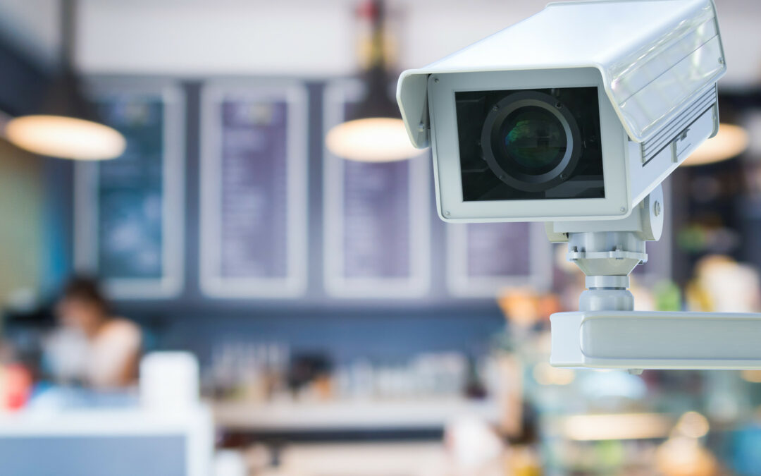 The Different Types of Business Security Camera Systems